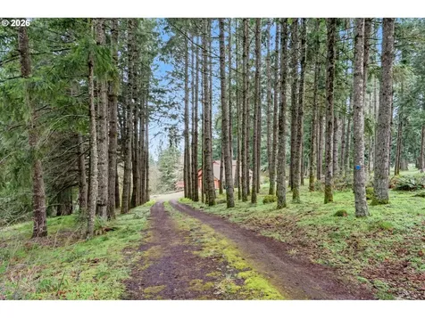 6683 Indian Springs Road NE Scotts Mills OR 97375