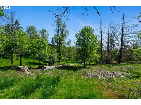 16584 S Windy City Road Mulino OR 97042