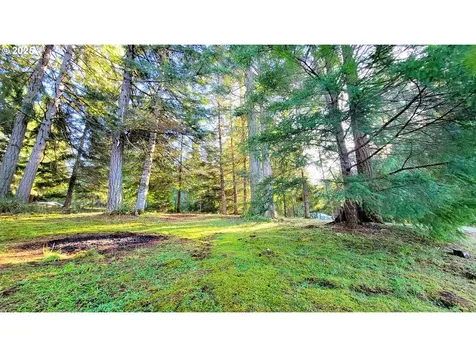 34336 Stewart Hills Lane Cottage Grove OR 97424