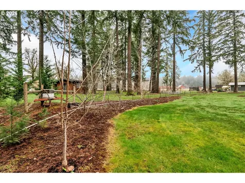 40593 Little Fall Creek Road Fall Creek OR 97438