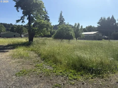 2191 Ames Creek Road Sweet Home OR 97386