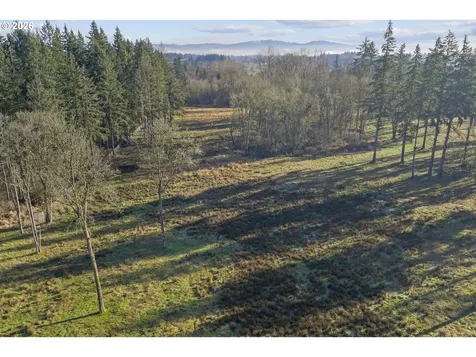 108 NW 199th Street Ridgefield WA 98642