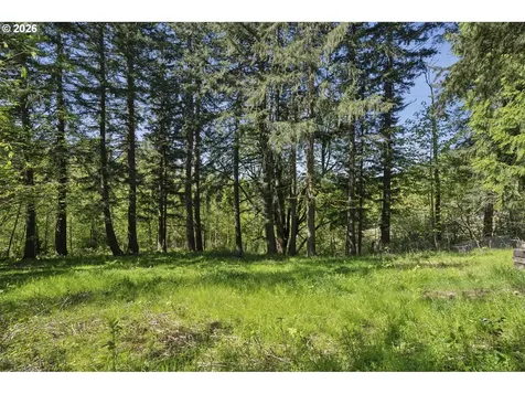 38041 SE Rickert Road Corbett OR 97019