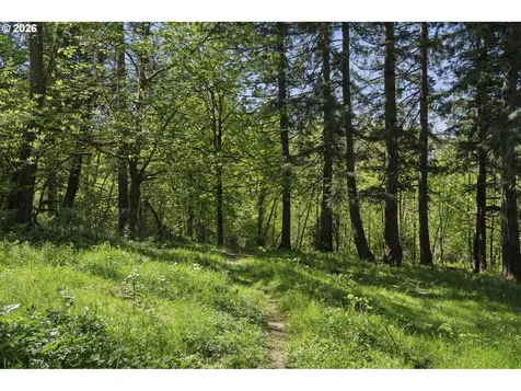 38041 SE Rickert Road Corbett OR 97019