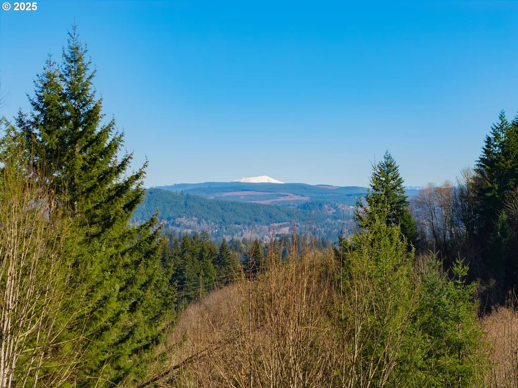 279 Trout Lakes Road Castle Rock WA 98611