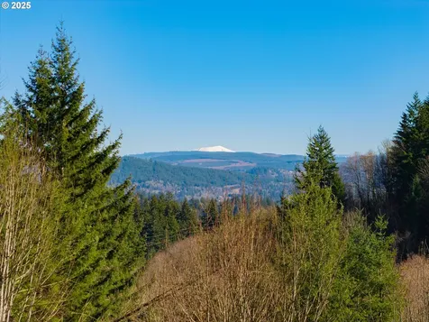 279 Trout Lakes Road Castle Rock WA 98611