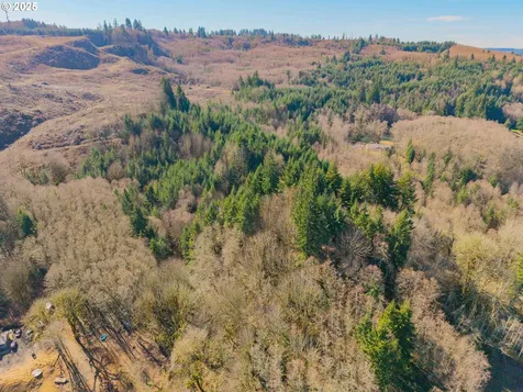 279 Trout Lakes Road Castle Rock WA 98611
