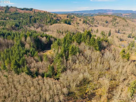 279 Trout Lakes Road Castle Rock WA 98611