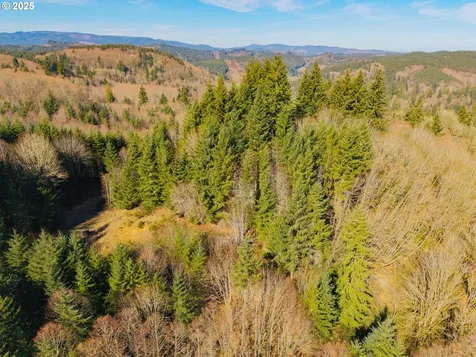 279 Trout Lakes Road Castle Rock WA 98611