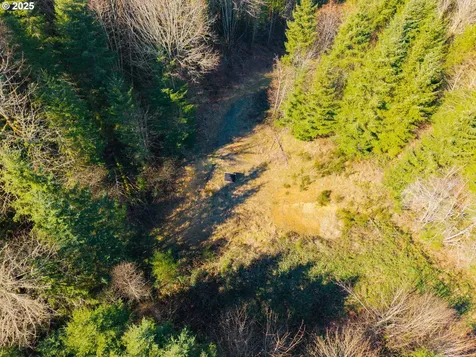 279 Trout Lakes Road Castle Rock WA 98611