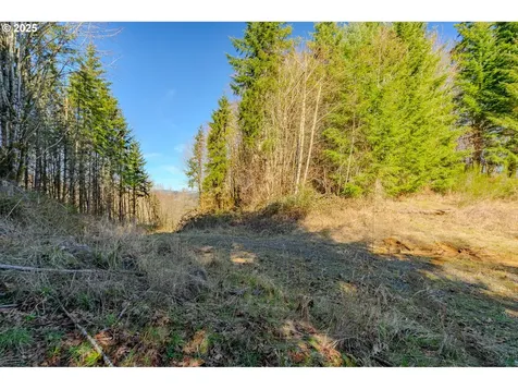 279 Trout Lakes Road Castle Rock WA 98611