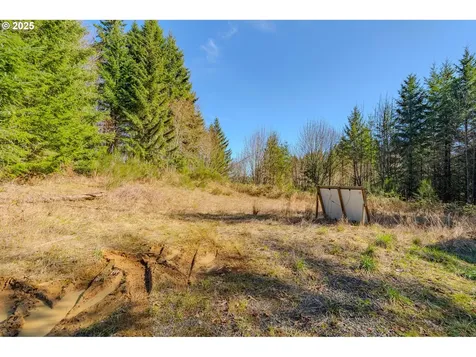 279 Trout Lakes Road Castle Rock WA 98611