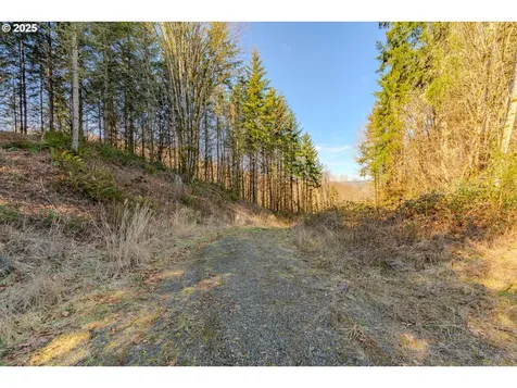 279 Trout Lakes Road Castle Rock WA 98611