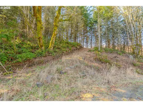 279 Trout Lakes Road Castle Rock WA 98611
