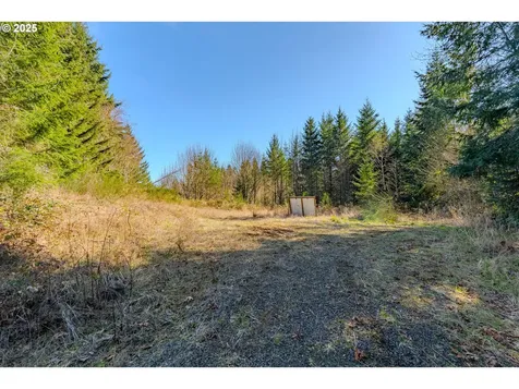 279 Trout Lakes Road Castle Rock WA 98611