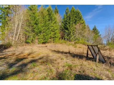 279 Trout Lakes Road Castle Rock WA 98611