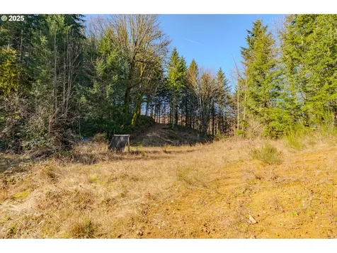 279 Trout Lakes Road Castle Rock WA 98611