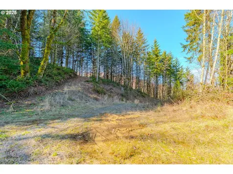 279 Trout Lakes Road Castle Rock WA 98611