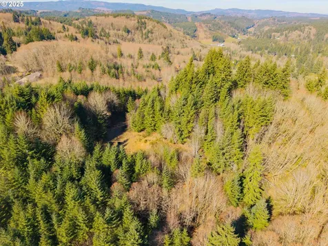 279 Trout Lakes Road Castle Rock WA 98611