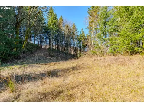 279 Trout Lakes Road Castle Rock WA 98611