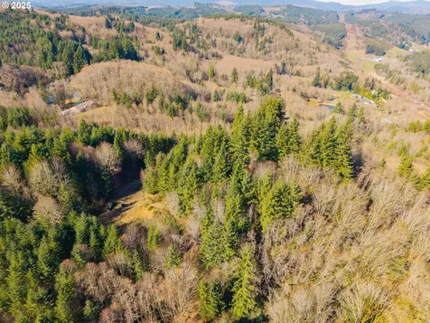 279 Trout Lakes Road Castle Rock WA 98611