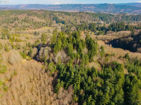 279 Trout Lakes Road Castle Rock WA 98611