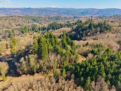 279 Trout Lakes Road Castle Rock WA 98611