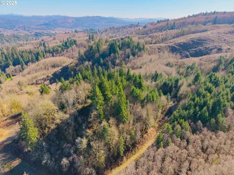 279 Trout Lakes Road Castle Rock WA 98611
