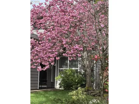 28263 SW Wagner Street Wilsonville OR 97070