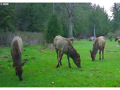 37945 SE Tumala Mountain Road Estacada OR 97023