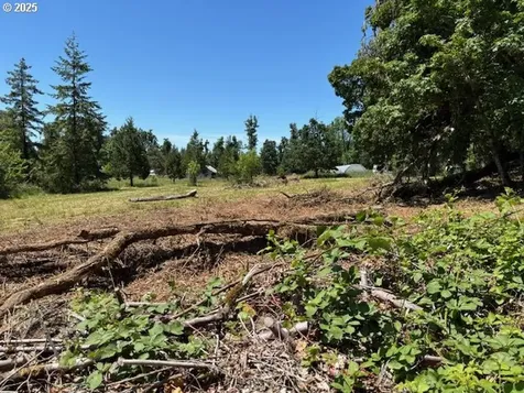 38521 Jasper Lowell Road Fall Creek OR 97438