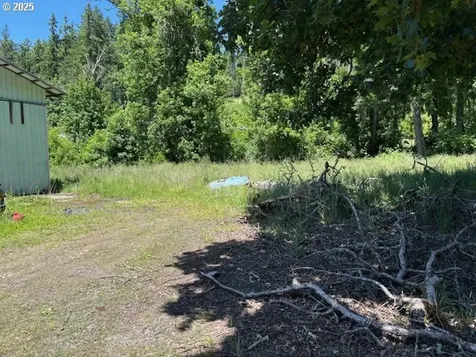 38521 Jasper Lowell Road Fall Creek OR 97438