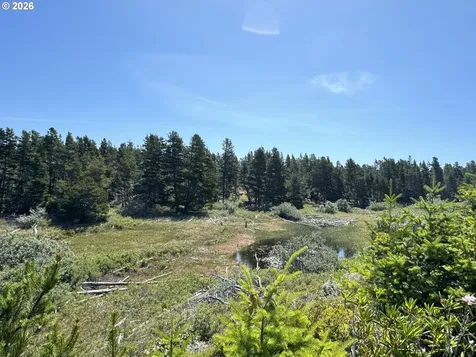 Lake Point Drive Florence OR 97439