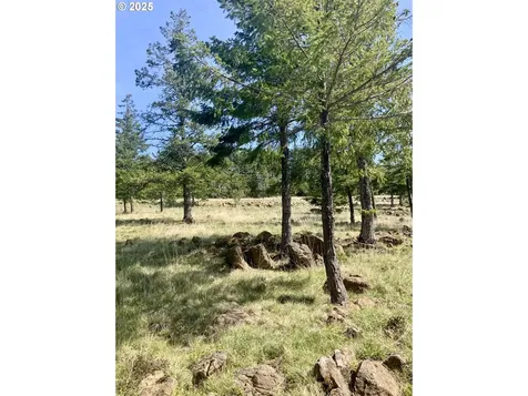 95645 Spirit Ridge Road Gold Beach OR 97444