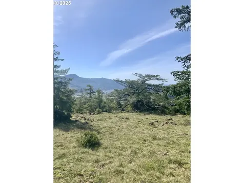 95645 Spirit Ridge Road Gold Beach OR 97444