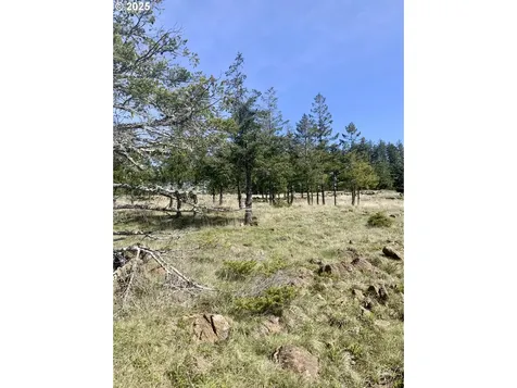 95645 Spirit Ridge Road Gold Beach OR 97444