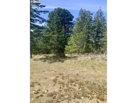 95645 Spirit Ridge Road Gold Beach OR 97444