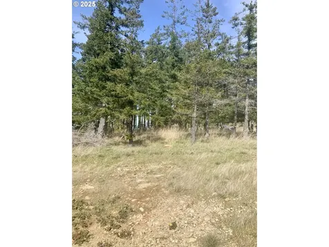 95645 Spirit Ridge Road Gold Beach OR 97444