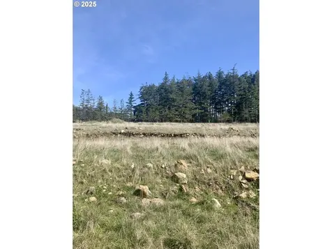 95645 Spirit Ridge Road Gold Beach OR 97444