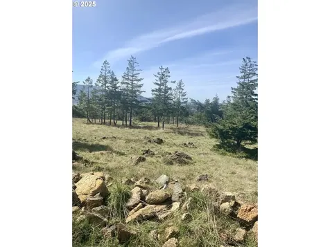 95645 Spirit Ridge Road Gold Beach OR 97444