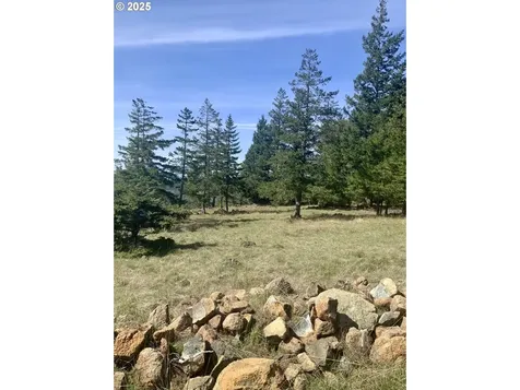 95645 Spirit Ridge Road Gold Beach OR 97444