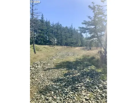95645 Spirit Ridge Road Gold Beach OR 97444