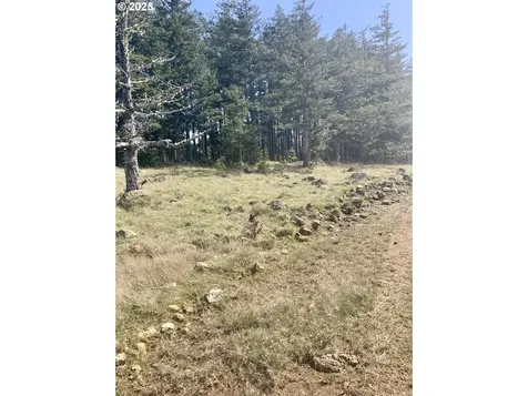 95645 Spirit Ridge Road Gold Beach OR 97444