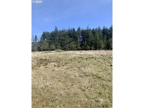 95645 Spirit Ridge Road Gold Beach OR 97444