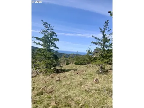 95645 Spirit Ridge Road Gold Beach OR 97444