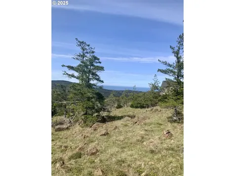 95645 Spirit Ridge Road Gold Beach OR 97444
