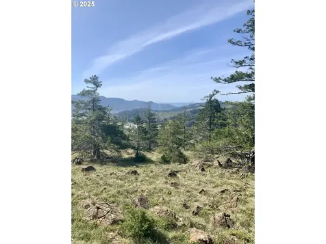 95645 Spirit Ridge Road Gold Beach OR 97444
