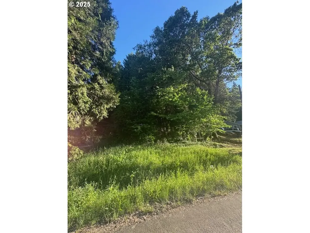 0 Red Hill Road Glendale OR 97442