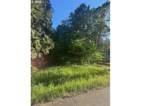 0 Red Hill Road Glendale OR 97442