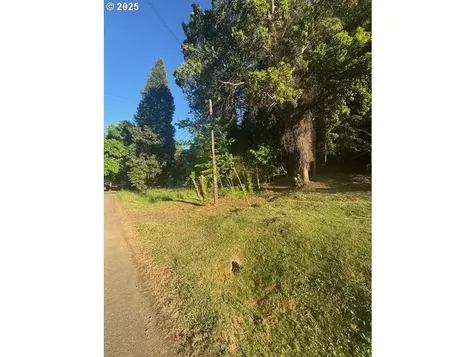 0 Red Hill Road Glendale OR 97442
